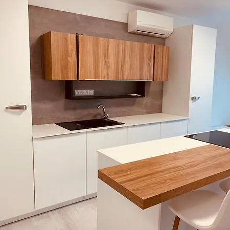Lejlighed Klimatizovany City Apartment & Centrum Mesta & Parkovanie Garaz & 12 Pm Checkout Trnava