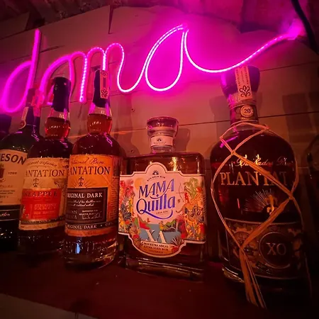 Premier & Heart Of Downtown & Parking Included & 12 Pm Checkout Lejlighed