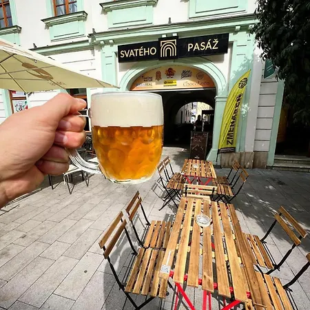 Klimatizovany City Apartment & Centrum Mesta & Parkovanie Garaz & 12 Pm Checkout Lejlighed Trnava